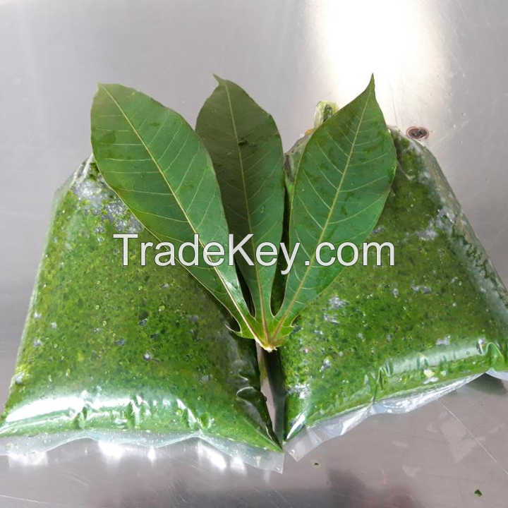 NATURAL FROZEN CASSAVA LEAVES / RICH IN VITAMINS / HIGHLY NUTRITIOUS / BEST PRICE / MADE IN VIETNAM