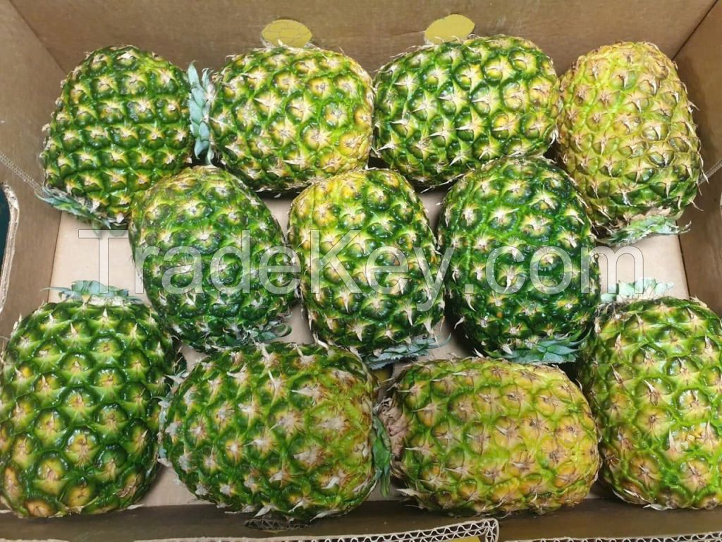 SWEET AND JUICY FRESH PINEAPPLE / FAMILY RECIPE / AFFORDABLE VALUE / MADE IN VIETNAM