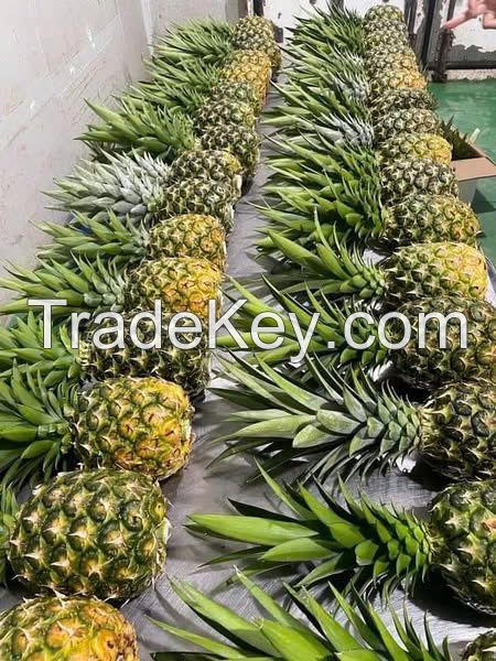 SWEET AND JUICY FRESH PINEAPPLE / FAMILY RECIPE / AFFORDABLE VALUE / MADE IN VIETNAM