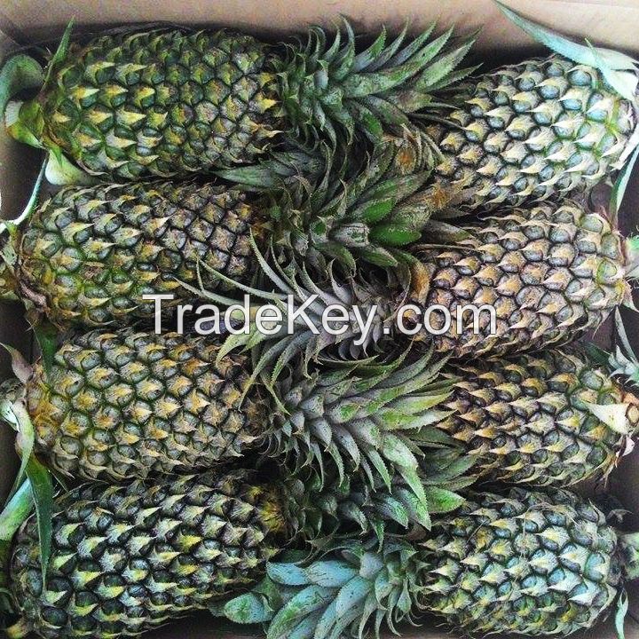 SWEET AND JUICY FRESH PINEAPPLE / FAMILY RECIPE / AFFORDABLE VALUE / MADE IN VIETNAM