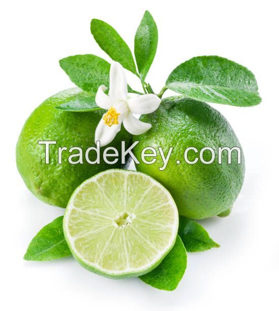 BRIGHT AND TANGY FRESH LEMONS / FAMILY RECIPE / AFFORDABLE VALUE / MADE IN VIETNAM