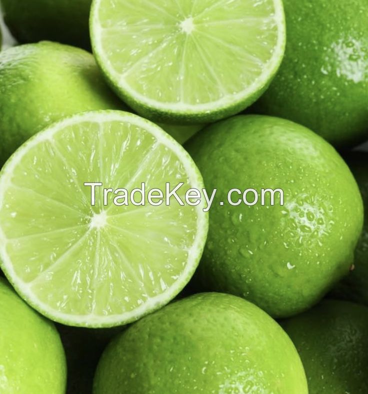 BRIGHT AND TANGY FRESH LEMONS / FAMILY RECIPE / AFFORDABLE VALUE / MADE IN VIETNAM