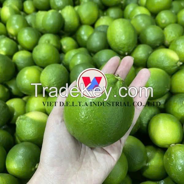 BRIGHT AND TANGY FRESH LEMONS / FAMILY RECIPE / AFFORDABLE VALUE / MADE IN VIETNAM