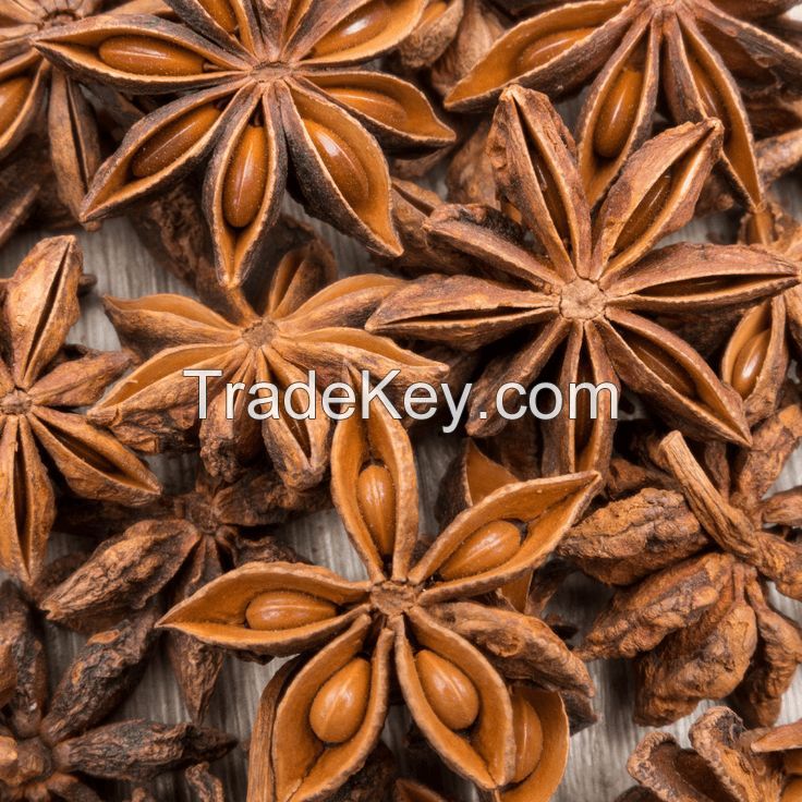 WHOLE STAR ANISE WITH INTENSE AND SWEET AROMA / PERFECT FOR COOKING AND TEAS / FARM TO TABLE / MADE IN VIETNAM