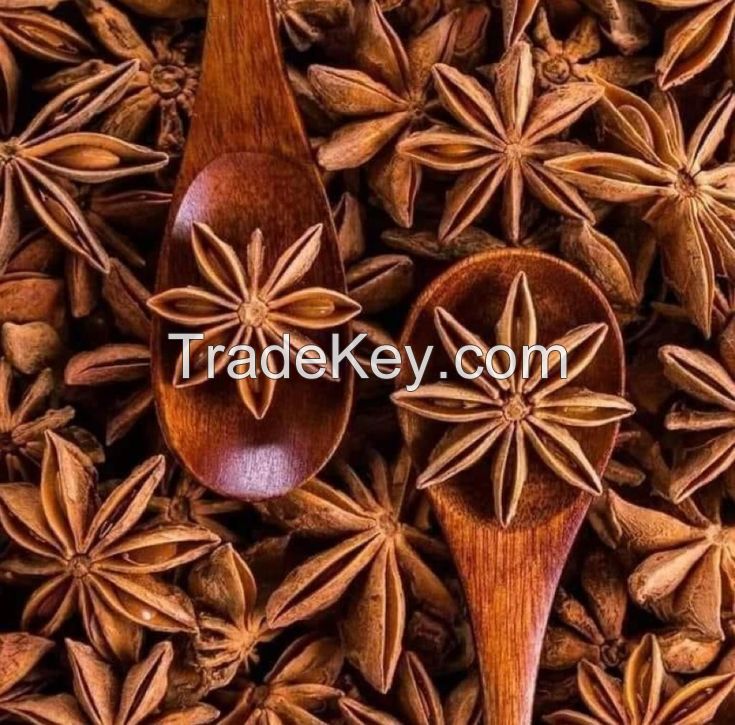 HAND-SELECTED STAR ANISE FOR THE PERFECT SPICE BLEND / NATURAL AND ORGANIC / HIGHLY VERSATILE / MADE IN VIETNAM