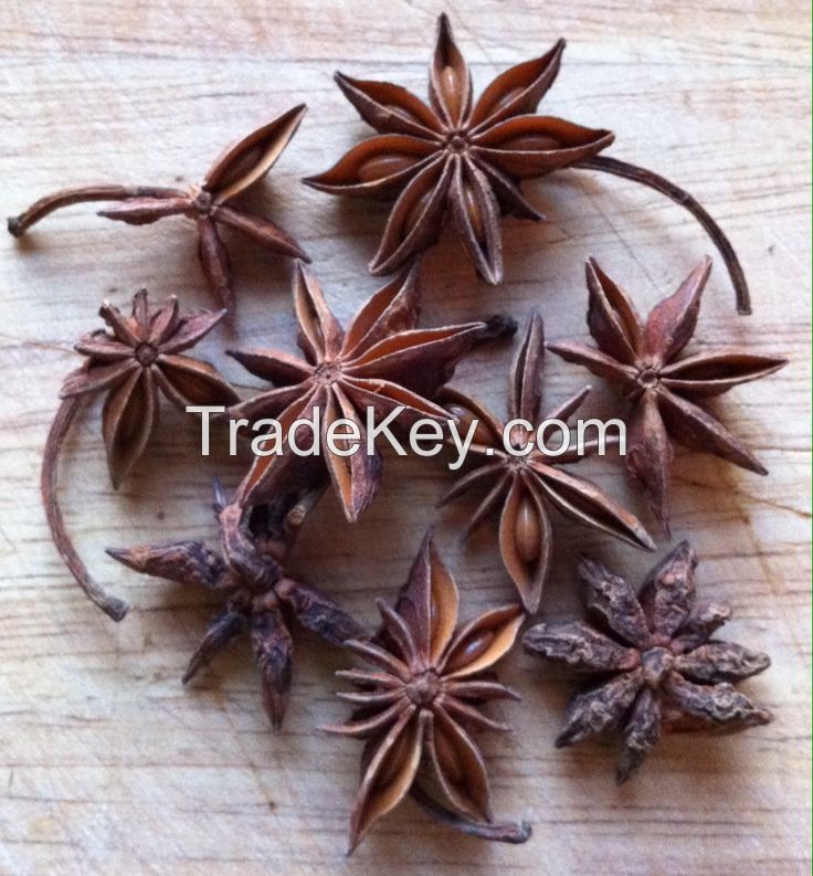 PREMIUM DRIED STAR ANISE FOR SPICES AND HERBAL TEAS / RICH FLAVOR PROFILE / 100% PURE / MADE IN VIETNAM