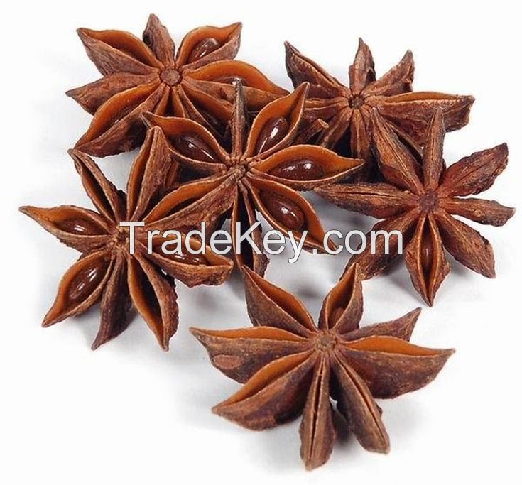 HAND-SELECTED STAR ANISE FOR THE PERFECT SPICE BLEND / NATURAL AND ORGANIC / HIGHLY VERSATILE / MADE IN VIETNAM