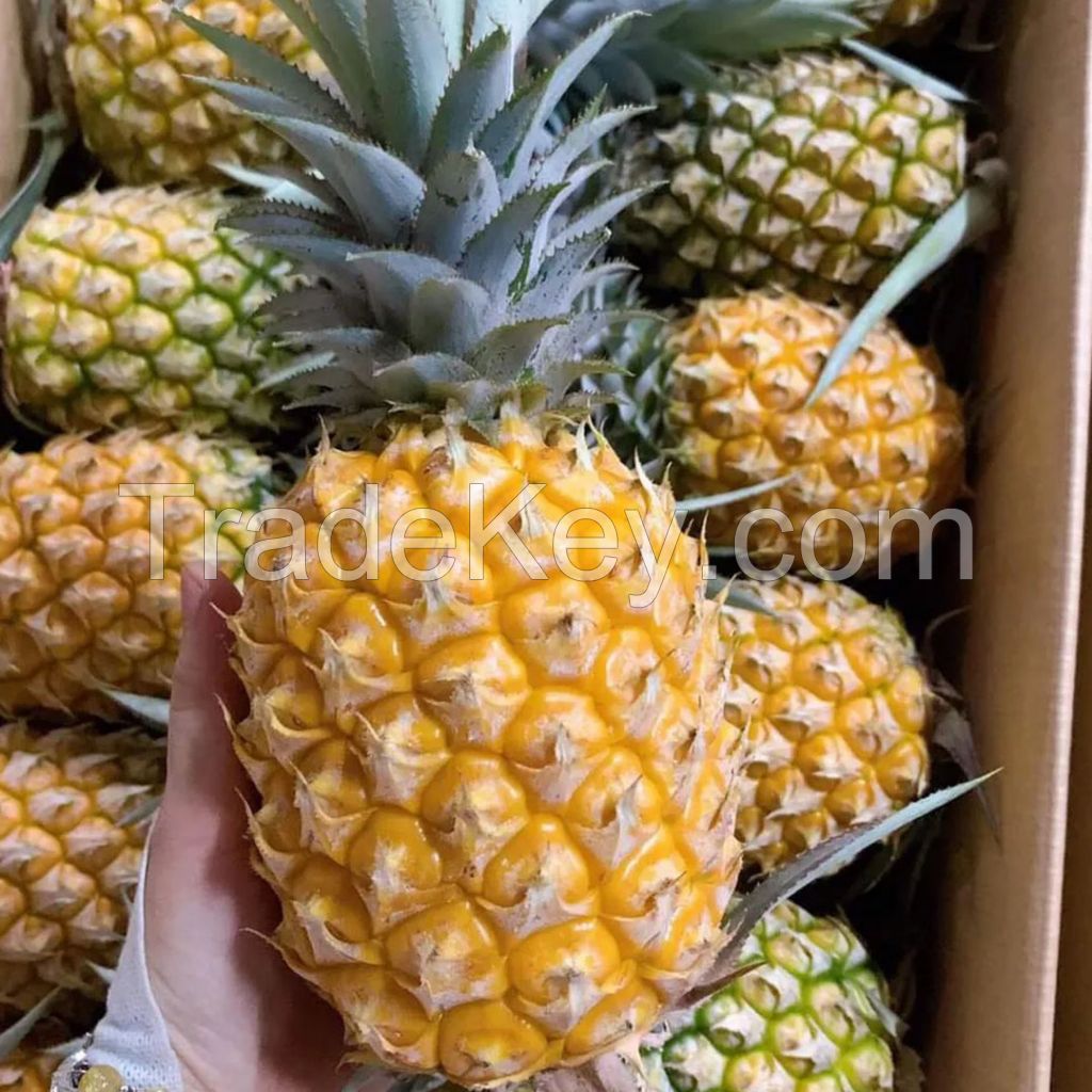 GOLDEN HARVEST TROPICAL PINEAPPLE TREATS / FAMILY RECIPE / AFFORDABLE VALUE / MADE IN VIETNAM