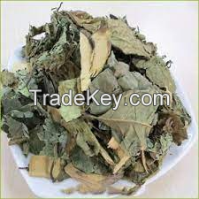 HANDPICKED DRIED CELASTRUS HINDSII / AUTHENTIC VIETNAMESE HERB / ECONOMICAL VALUE / PREMIUM QUALITY