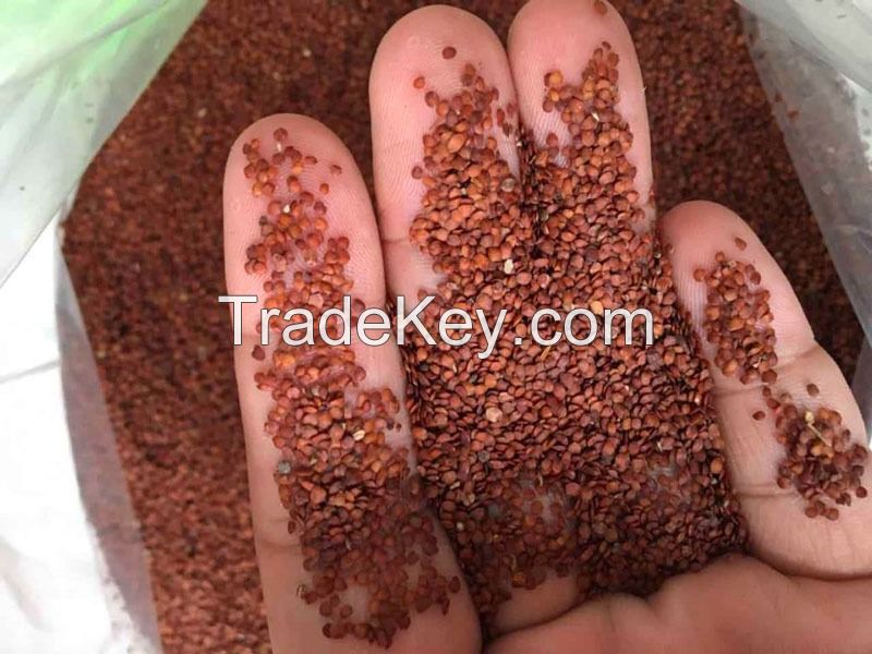 ORGANIC AND NATURAL HYGROPHILA SALICIFOLIA POWDER / FAMILY RECIPE / AFFORDABLE VALUE / MADE IN VIETNAM