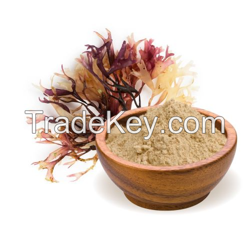 MINERAL-PACKED SEA MOSS POWDER / FAMILY RECIPE / AFFORDABLE VALUE / MADE IN VIETNAM