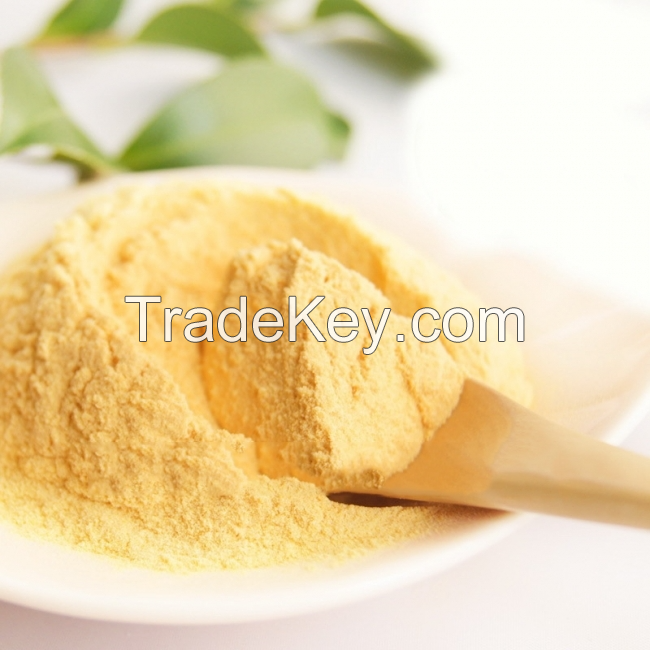 FINE PAPAYA POWDER / SMALL BATCH PRODUCTION / ORGANIC QUALITY / MADE IN VIETNAM