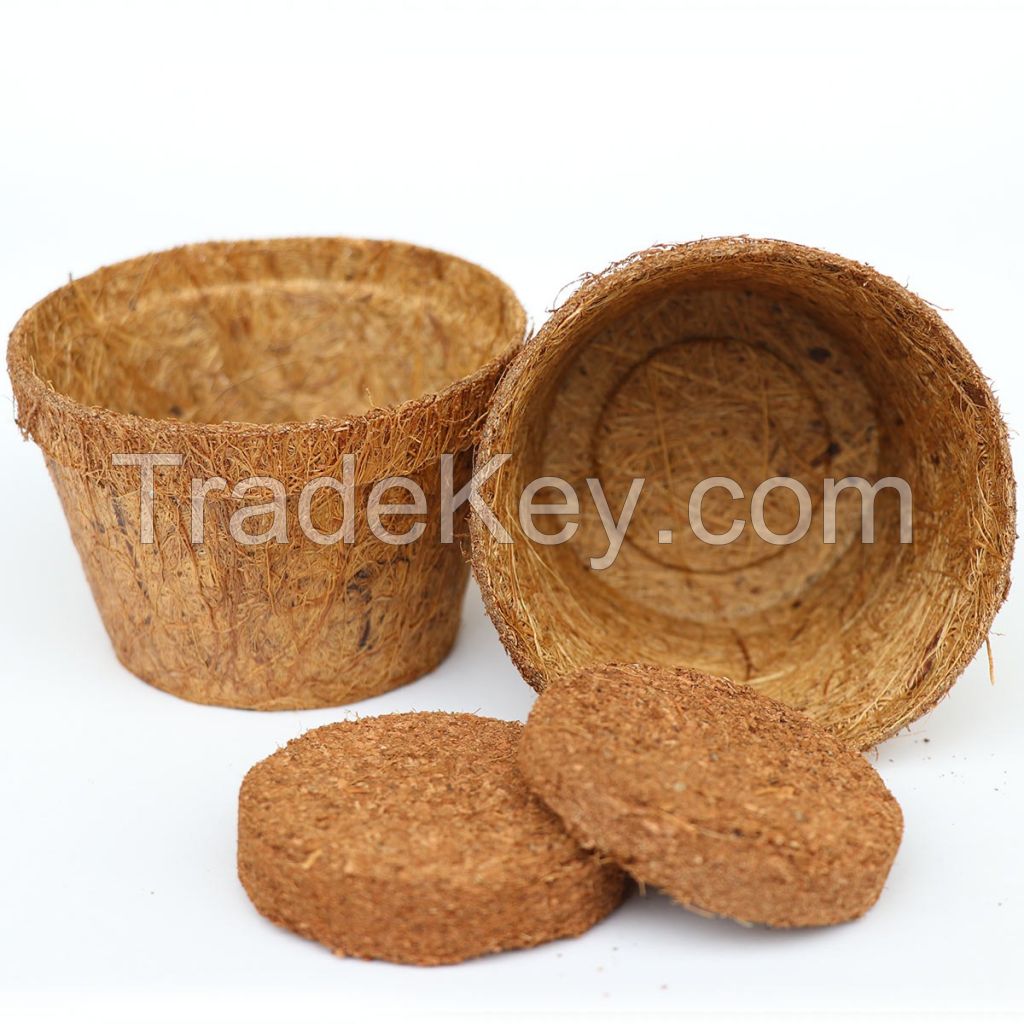 PREMIUM COCONUT FIBER PLANT POTS / SUSTAINABLE DECOR FOR GARDENING LOVERS