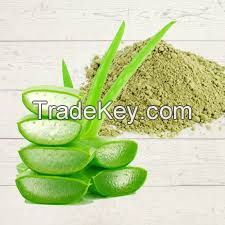 PURE AND NATURAL ALOE VERA POWDER / GENTLE CARE / AFFORDABLE VALUE / MADE IN VIETNAM