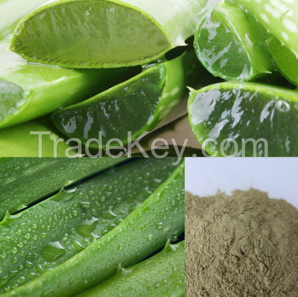 PURE AND NATURAL ALOE VERA POWDER / GENTLE CARE / AFFORDABLE VALUE / MADE IN VIETNAM