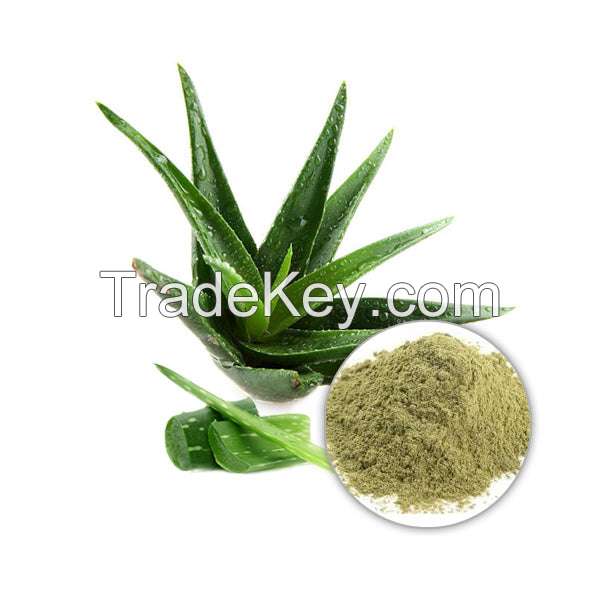 PURE AND NATURAL ALOE VERA POWDER / GENTLE CARE / AFFORDABLE VALUE / MADE IN VIETNAM