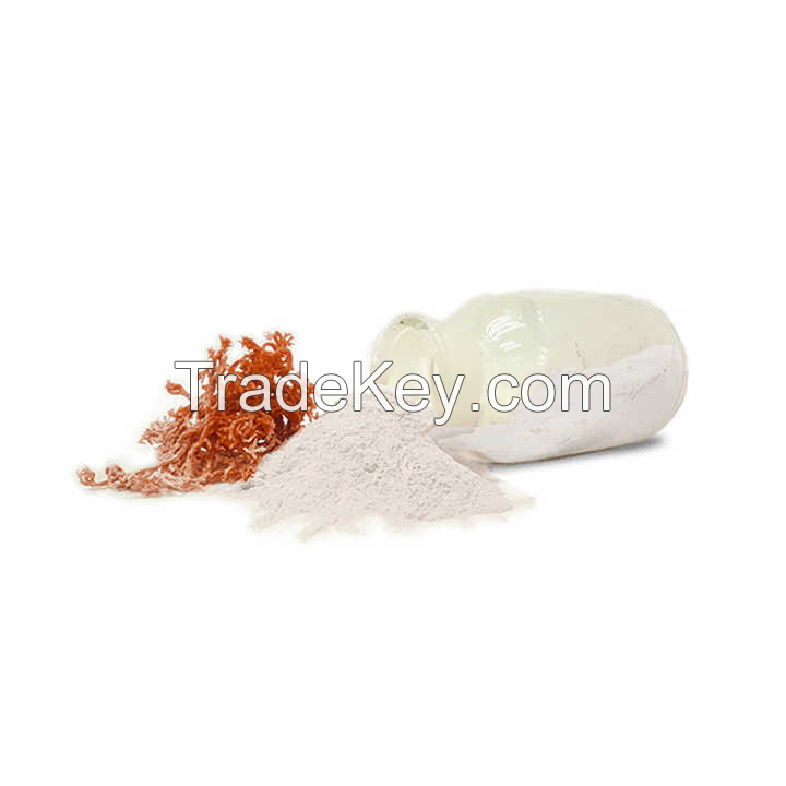 PREMIUM CARRAGEENAN FOR FOOD APPLICATIONS / HIGH QUALITY VIETNAM SEAWEED EXTRACT