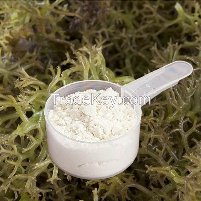 ORGANIC CARRAGEENAN POWDER / VEGAN / SMOOTH TEXTURE