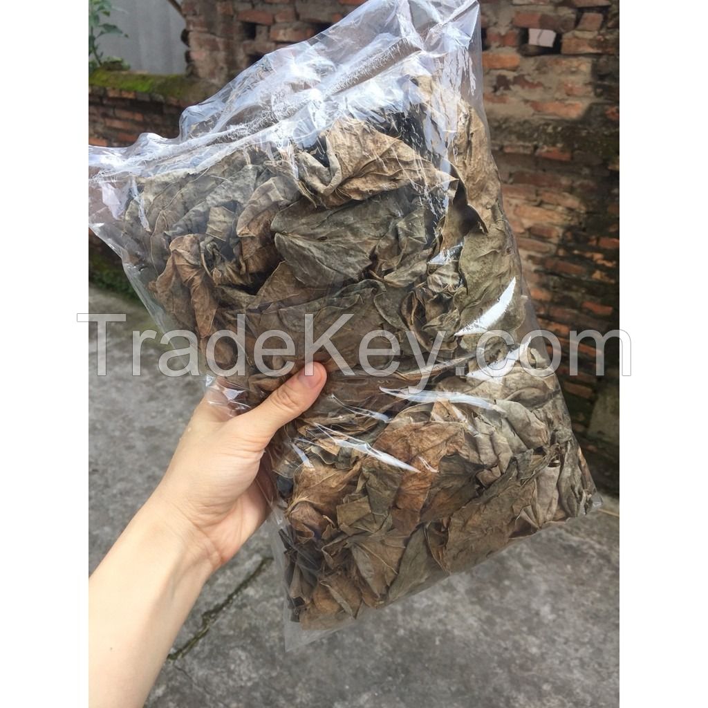 PURE DRIED BETEL LEAVES / FAMILY RECIPE / AFFORDABLE PRICE / MADE IN VIETNAM