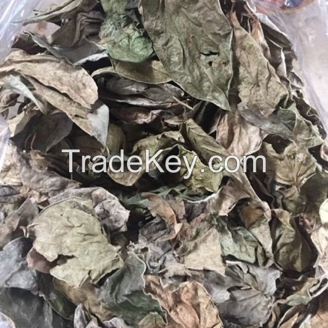 PURE DRIED BETEL LEAVES / FAMILY RECIPE / AFFORDABLE PRICE / MADE IN VIETNAM