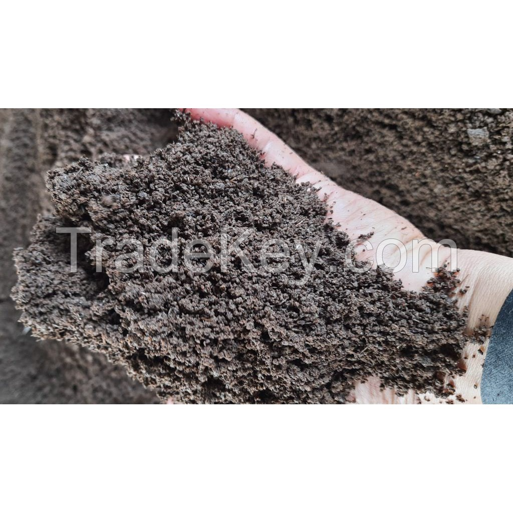 SUPERIOR EARTHWORM CASTINGS / 100% NATURAL FERTILIZER / ECO-FRIENDLY CHOICE / MADE IN VIETNAM