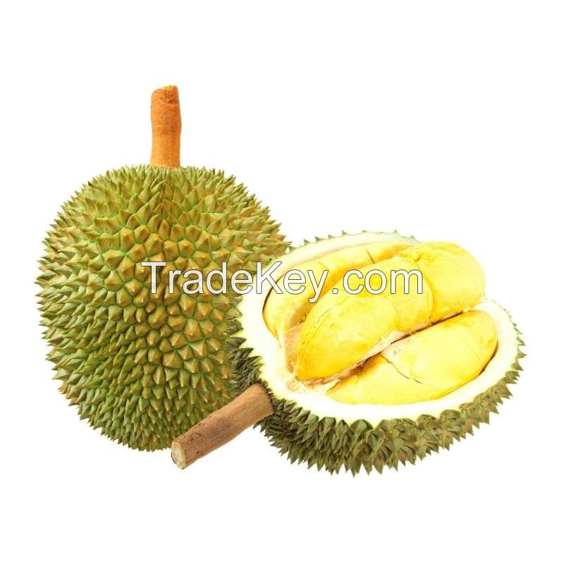 Vietnam King Durian Newest Crop Premium Grade Food Tropical & Sub-Tropical Fruit Common Cultivation Fresh Durians