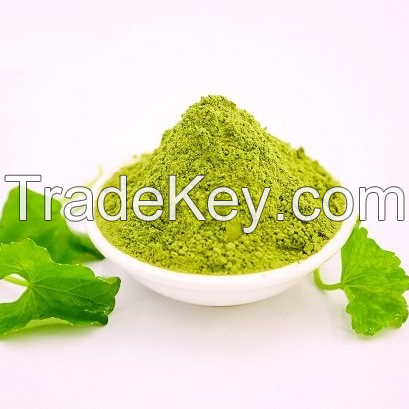 PURE AND NUTRITIOUS PENNYWORT POWDER / FAMILY RECIPE / AFFORDABLE VALUE / MADE IN VIETNAM