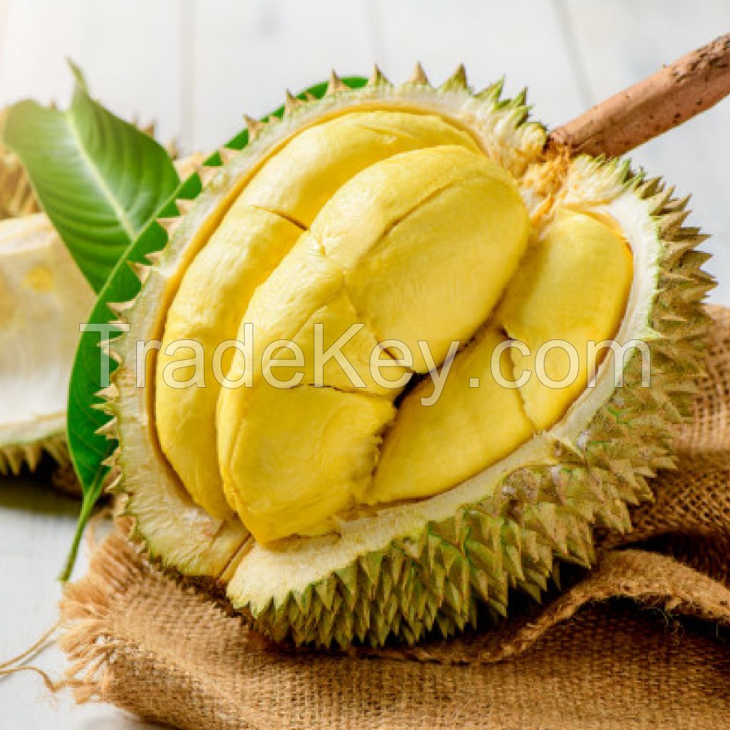 Wholesale Price King Durian Delicious Sweet Natural Yellow Flesh 20 Days Shelf Life Vietnam Organic Fresh Durian Fruit