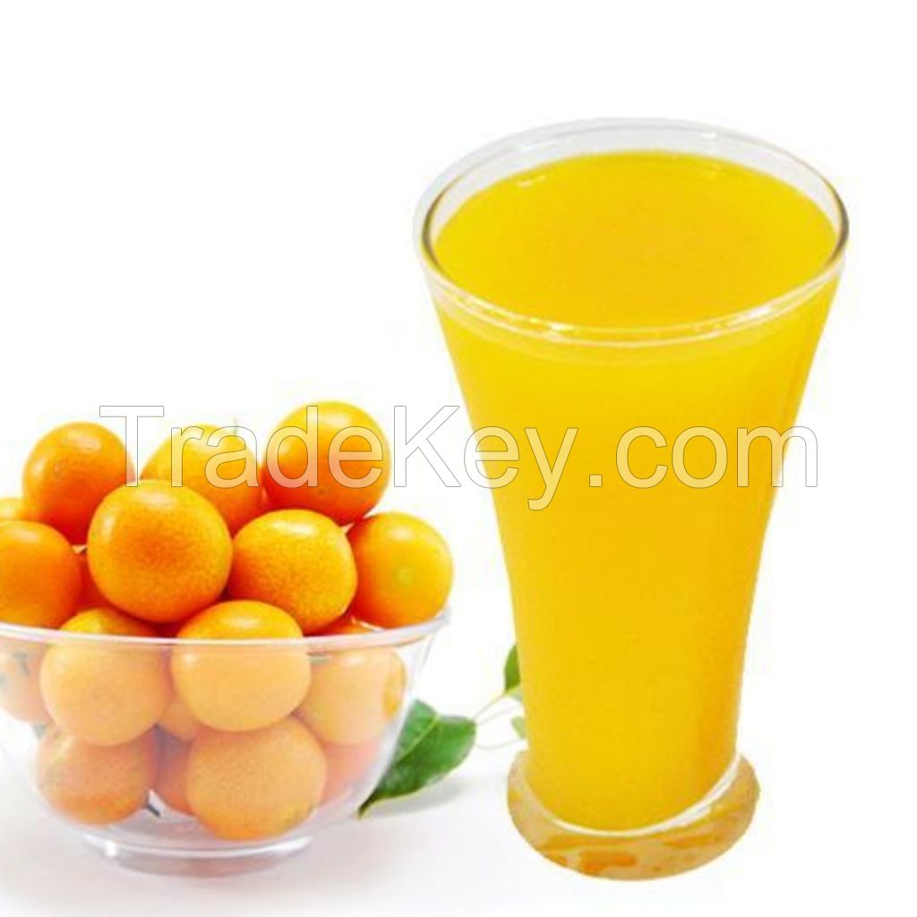 CITRUS-FLAVORED FROZEN KUMQUAT JUICE/ TART & SWEET TASTE/ BEST PRICE