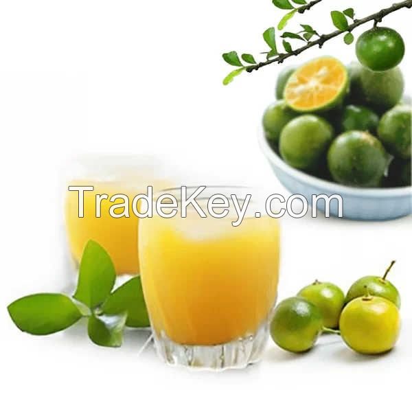 CITRUS-FLAVORED FROZEN KUMQUAT JUICE/ TART & SWEET TASTE/ BEST PRICE