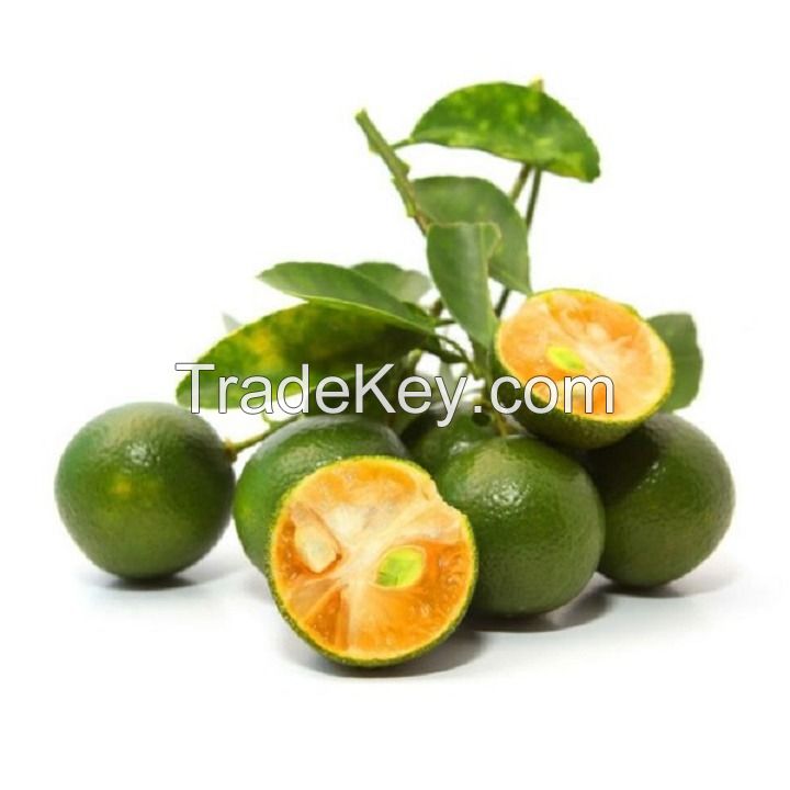 FROZEN KUMQUAT JUICE/ NATURAL CITRUS JUICE CONCENTRATE/ BULK SUPPLY