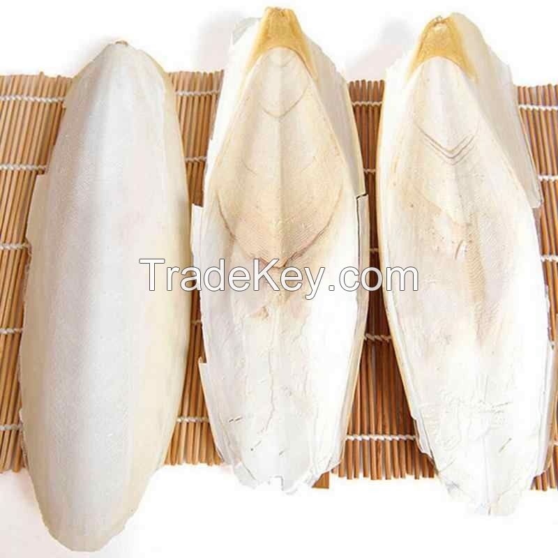 BEST EFFECTIVE-PRICE, DRIED CUTTLEFISH BONES CLEANED FROM FRESH SEA SQUID ARE USED AS FOOD FOR SQUIRRELS, RATS AND AMBER