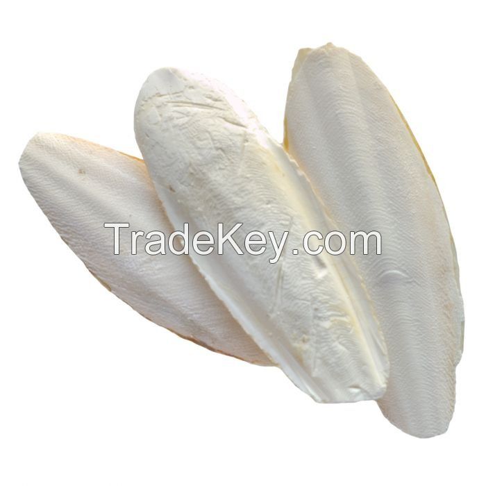 BEST EFFECTIVE-PRICE, DRIED CUTTLEFISH BONES CLEANED FROM FRESH SEA SQUID ARE USED AS FOOD FOR SQUIRRELS, RATS AND AMBER