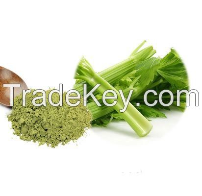 PREMIUM QUALITY, CELERY POWDER MADE FROM FRESH ORGANIC CELERY, USED FOR SEASONING, COOKING, AND HEALTH BENEFITS