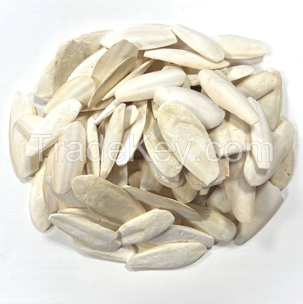 BEST EFFECTIVE-PRICE, DRIED CUTTLEFISH BONES CLEANED FROM FRESH SEA SQUID ARE USED AS FOOD FOR SQUIRRELS, RATS AND AMBER