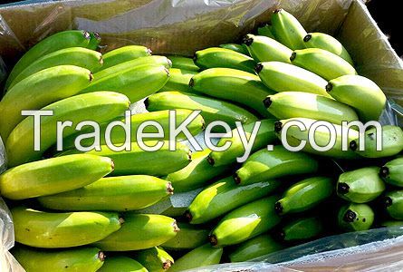 FRESH CAVENDISH BANANA / NATURAL SWEETNESS / CLEAN LABEL / NON-GMO