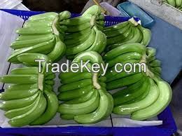 FRESH CAVENDISH BANANA / NATURAL SWEETNESS / CLEAN LABEL / NON-GMO