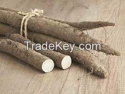 PURE BURDOCK ROOT EXTRACT / SUPPORTS WELLNESS / AFFORDABLE PRICE / MADE in VIETNAM