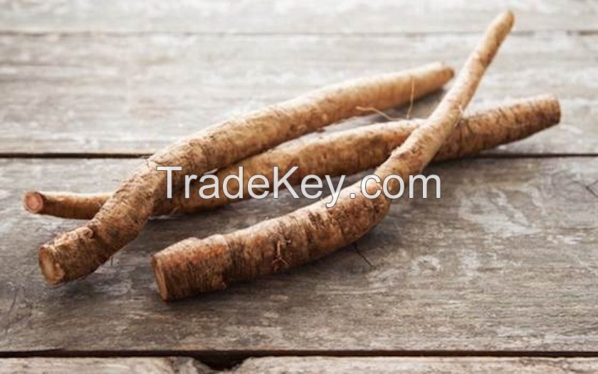 PURE BURDOCK ROOT EXTRACT / SUPPORTS WELLNESS / AFFORDABLE PRICE / MADE in VIETNAM