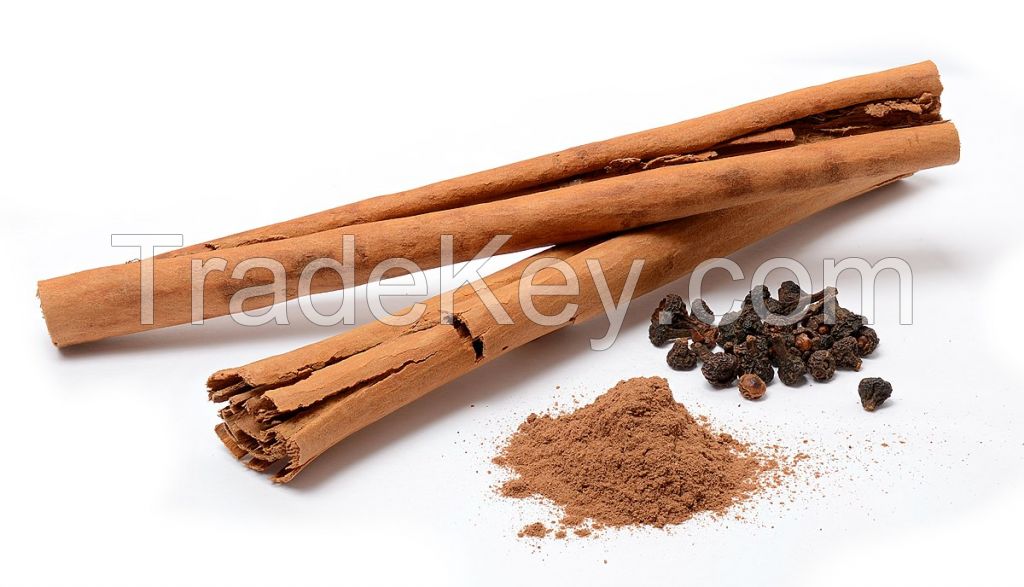 HOLISTIC CINNAMON ESSENCE POWDER / NON-SYNTHETIC / PLANT-BASED / BODY BALANCE