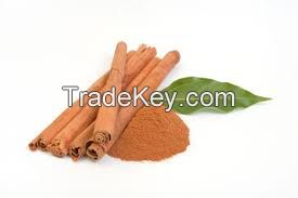 HOLISTIC CINNAMON ESSENCE POWDER / NON-SYNTHETIC / PLANT-BASED / BODY BALANCE