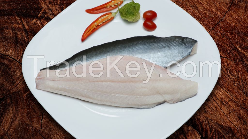 NATURAL PANGASIUS FILLET / IMMUNE SUPPORT / CLEAN LABEL / ANIMAL PROTEIN