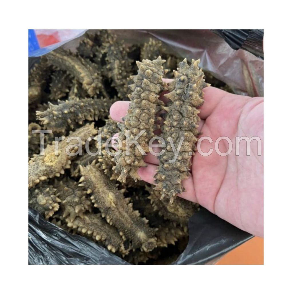 PREMIUM GRADE DRIED SEA PRODUCT / CLEAN LABEL / WILD HARVESTED