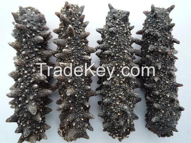 CLEAN OCEAN CUCUMBER STYLE / PURE FORM / NATURAL PROCESSING