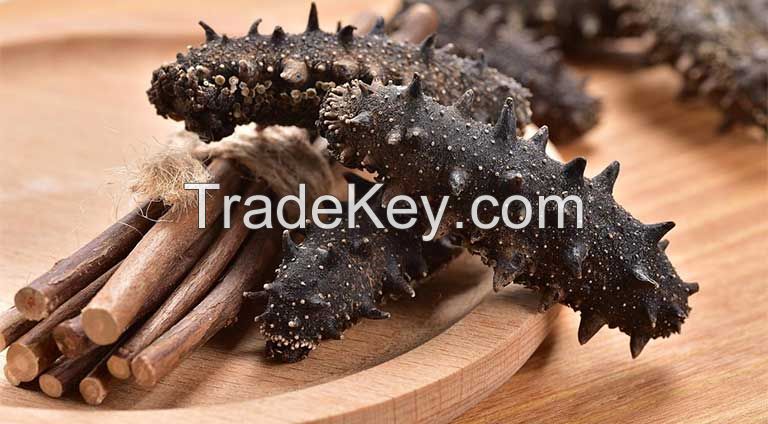 CLEAN OCEAN CUCUMBER STYLE / PURE FORM / NATURAL PROCESSING