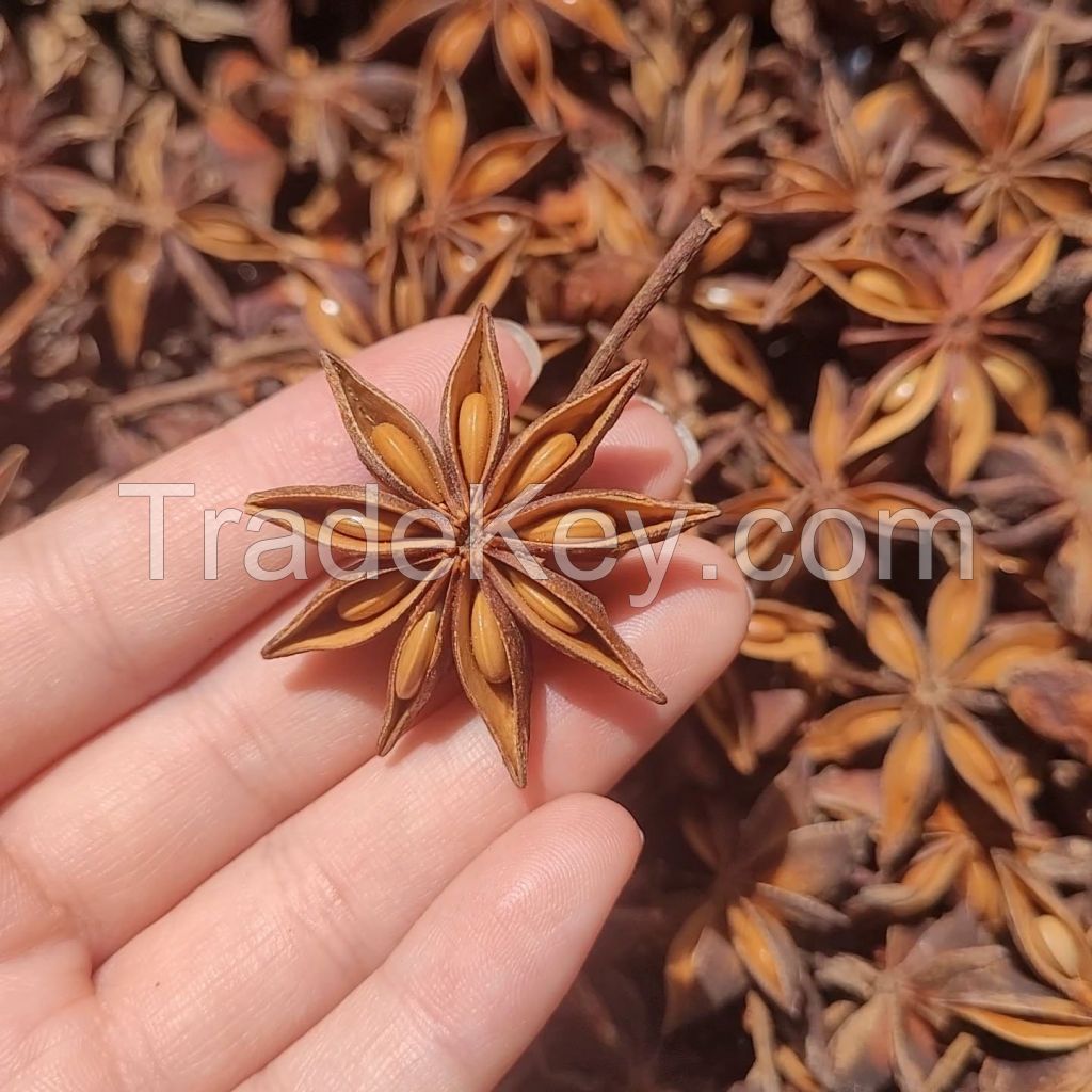 NATURAL STAR ANISE SPICE / PLANT-DERIVED / CLEAN LABEL 