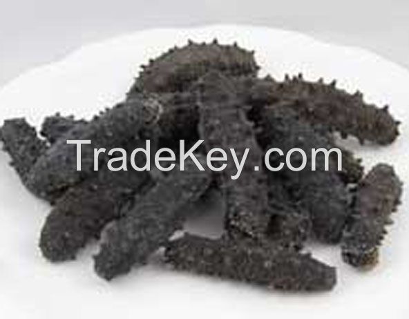 PREMIUM GRADE DRIED SEA PRODUCT / CLEAN LABEL / WILD HARVESTED