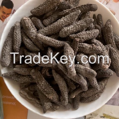 CLEAN OCEAN CUCUMBER STYLE / PURE FORM / NATURAL PROCESSING