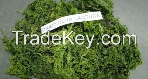 SUN-DRIED SEA LETTUCE / ADDITIVE-FREE / VEGAN FRIENDLY / CLEAN SOURCE