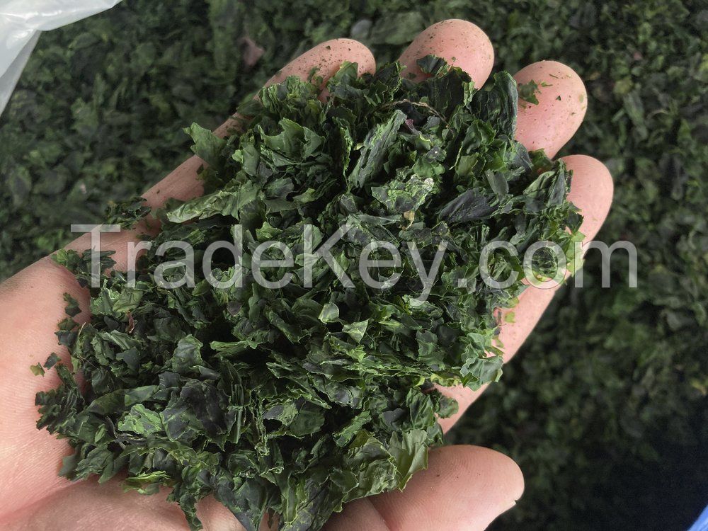 NATURAL ULVA SEAWEED / AIR-DRIED / CLEAN INGREDIENT / OCEAN PLANT PRODUCT